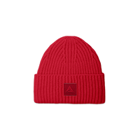 Chunky Beanie
